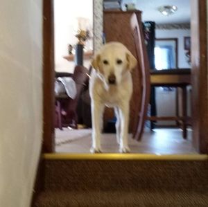 Meet your Posher, Julie